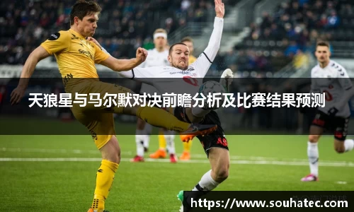 天狼星与马尔默对决前瞻分析及比赛结果预测